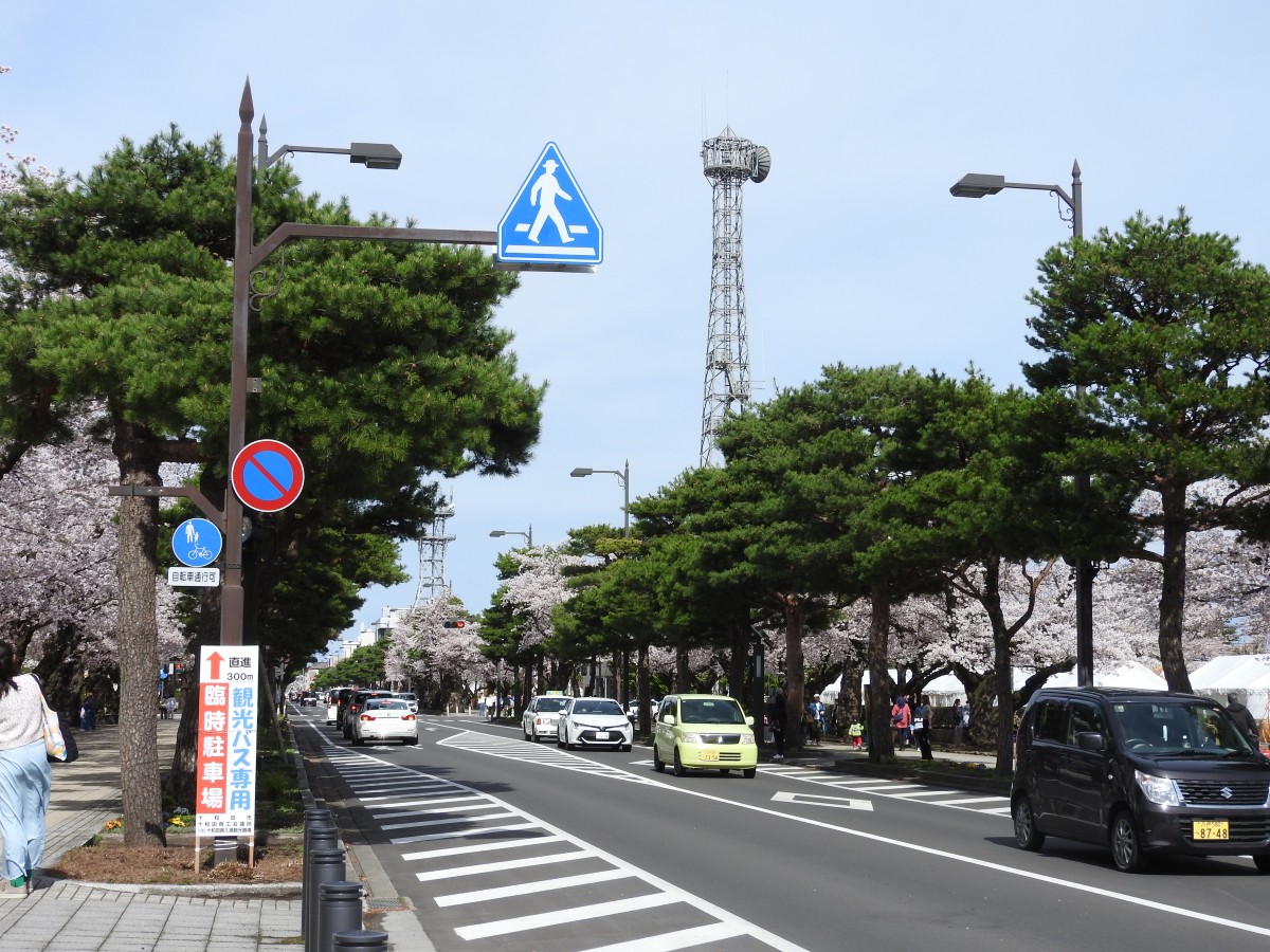 官庁街通り